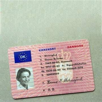 Denmark Driving License