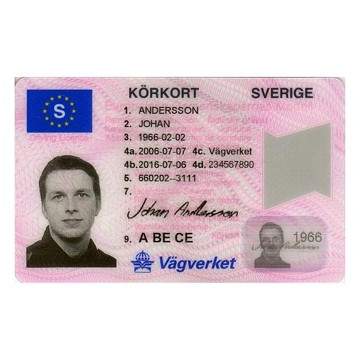 Swedish Drivers License